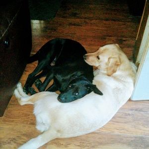 Meet your Posher, Tracy